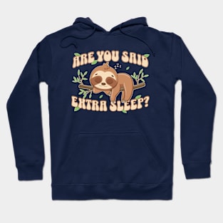 Are You Said Extra Sleep Sloth Lover Hoodie